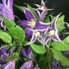 ����ޥ�������饵����