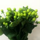 �ҥڥꥫ�ࡡ�����꡼��