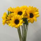 �ҥޥ���ࡡ����󥸷ϡ��������å��������