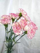 ���إ����͡������ʣ���ϡ����ޤ�25��