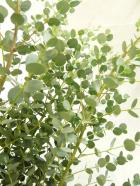 �桼���ꡡ���ˡ�