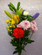 ʩ�֡�1�Сˡ�3000��