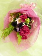 ǻ���ԥ󥯷Ϥβ�«