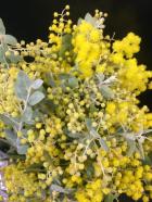 �����ե�������