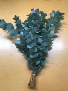 �桼�������