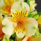 �ϥˡ����ե���