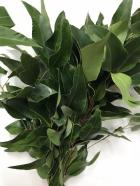 �桼���ꡡ���󥰥꡼��