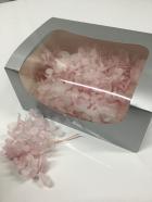 ���������ʾ���