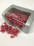 ���������ʾ���