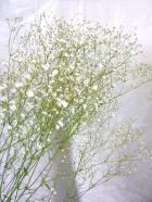 �����ߥ���