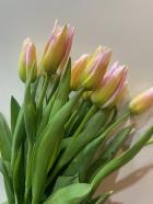 ���塼��åס��ȥ�ݡ���